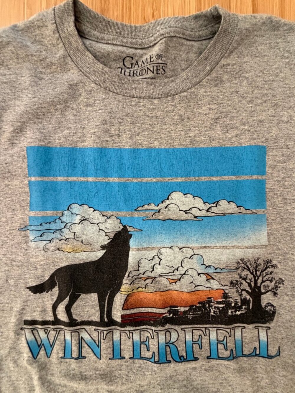 Game of Thrones Winterfell Direwolf Tee HBO Official 2019 Size L